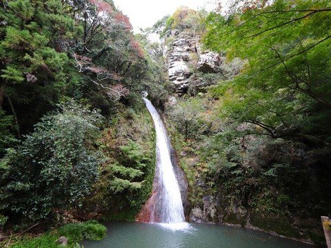 午尾の滝の写真