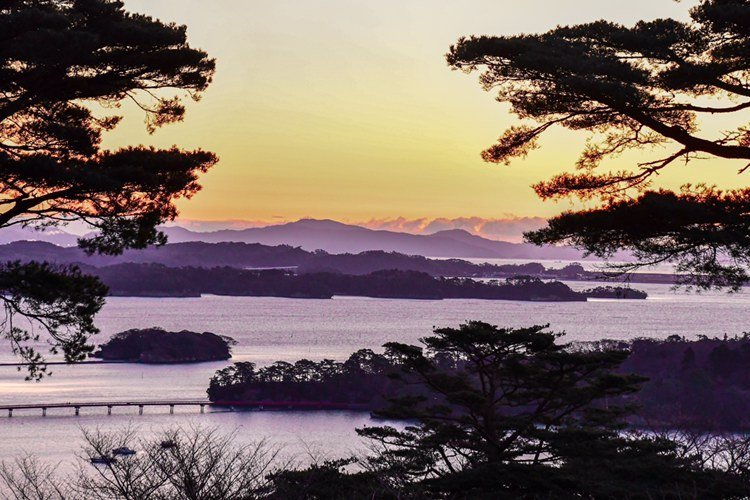 松島の写真