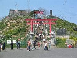 天然記念物・蕪島の写真