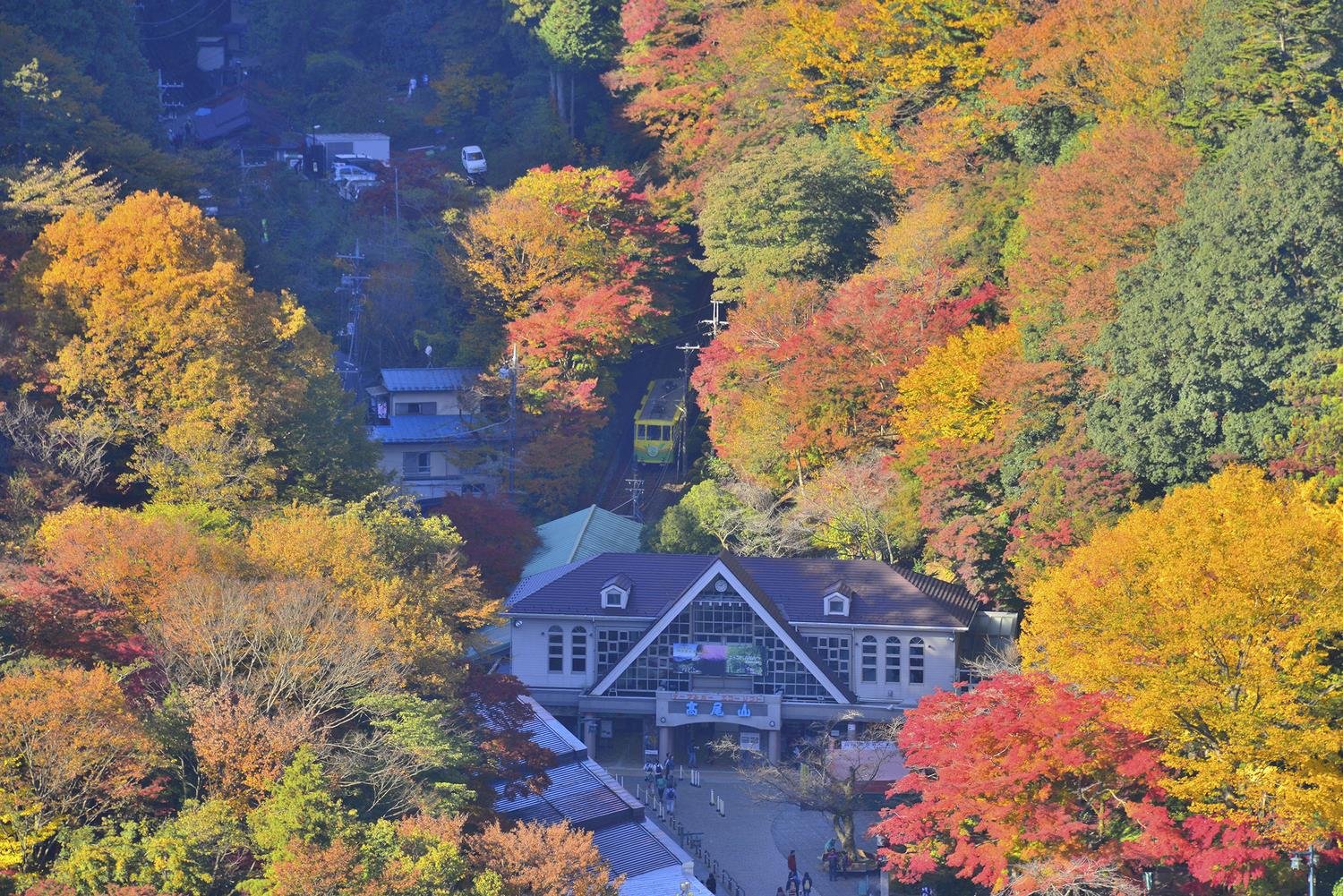 高尾山の写真