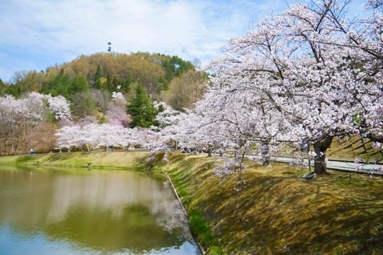 堂ノ前公園の写真