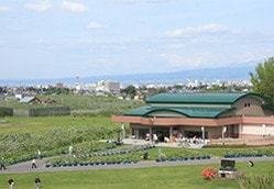 りんご公園の写真