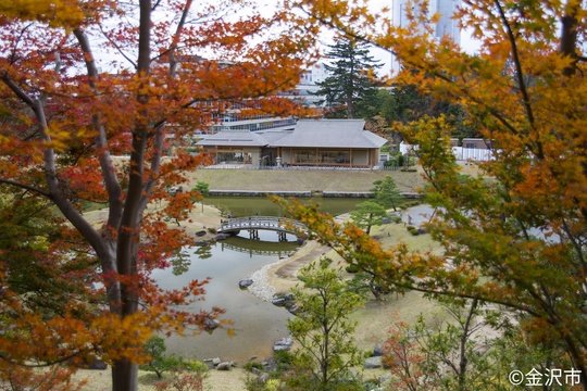 金沢城公園・玉泉院丸庭園の写真