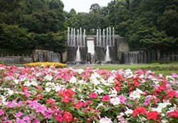 川口市立グリーンセンターの写真