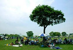 彩湖・道満グリーンパークの写真