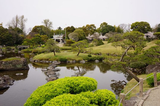 水前寺公園(水前寺成趣園)の写真