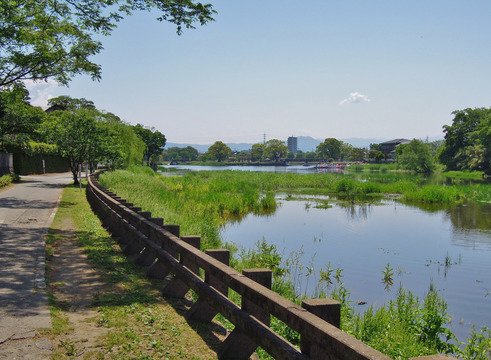 水前寺江津湖公園の写真