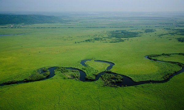 釧路湿原の写真