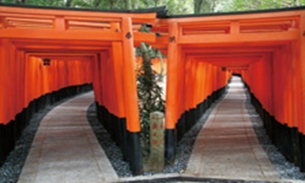 伏見稲荷大社の写真