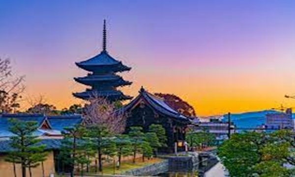 東寺の写真