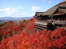 清水寺の写真