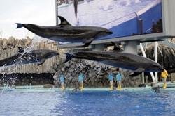 名古屋港水族館の写真