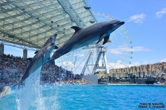 名古屋港水族館の写真