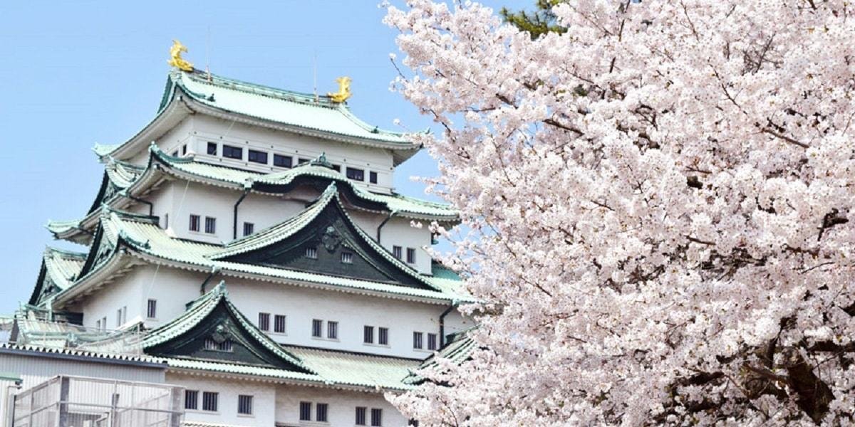 スマイルホテル名古屋新幹線口の写真5
