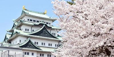 スマイルホテル名古屋新幹線口の画像5
