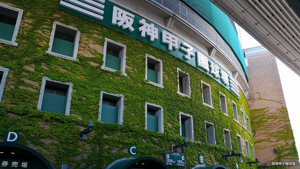 阪神甲子園球場の写真