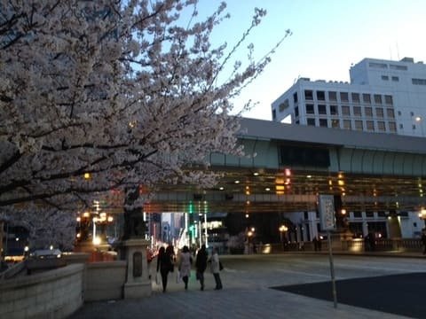 日本橋の写真