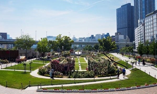 中之島公園の写真