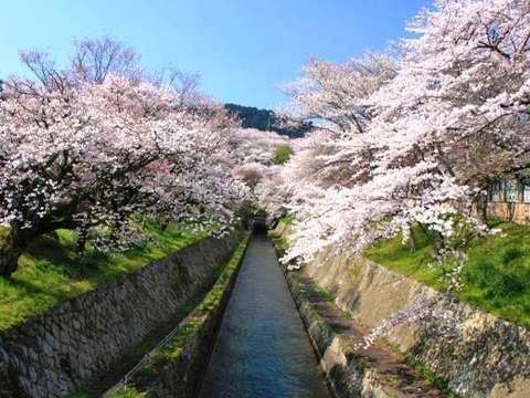 琵琶湖疏水の写真