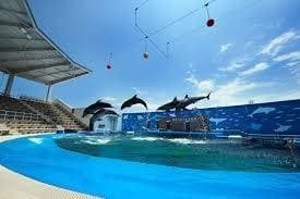 うみの杜水族館の写真
