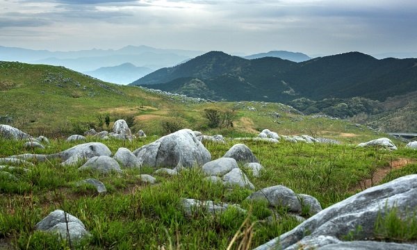 平尾台の写真