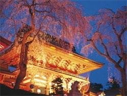塩竃神社の写真