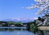 南湖の写真