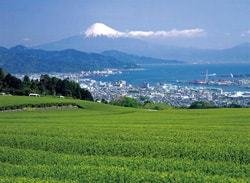 日本平の写真