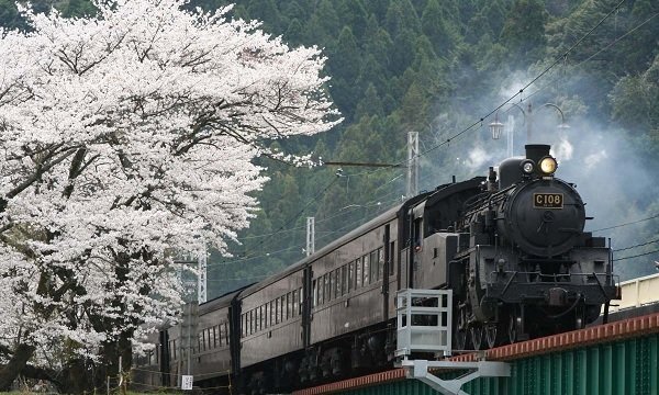 大井川鐵道(新金谷駅SLセンター)の写真