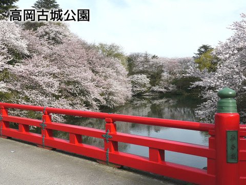 高岡古城公園の写真