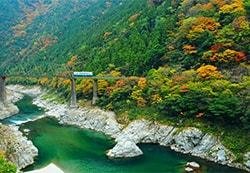 大歩危小歩危の写真