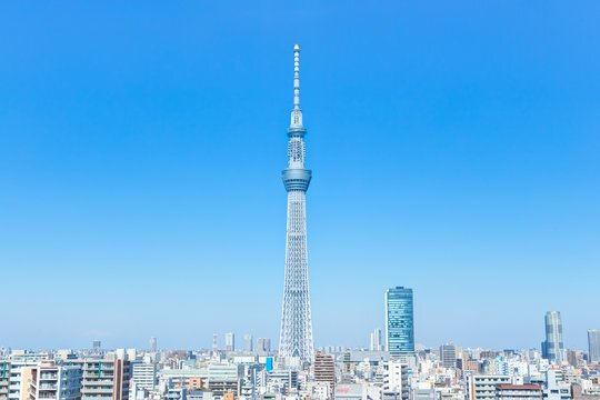 東京スカイツリーの写真