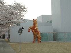 十和田市現代美術館の写真