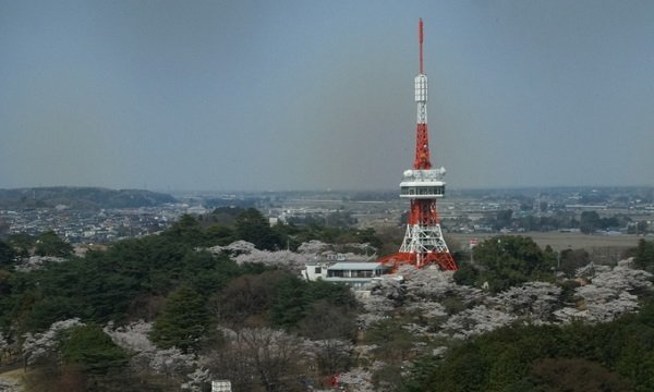 八幡山公園の写真
