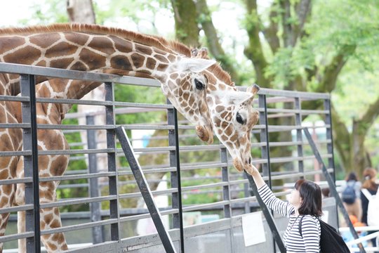 宇都宮動物園の写真