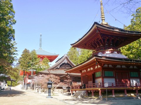 高野山の写真