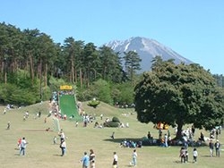 森の国の写真