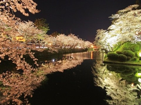 米沢城址 / 松が岬公園の写真
